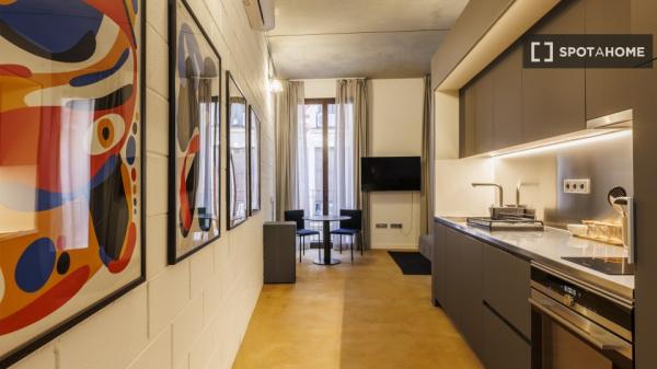 Estudio en alquiler en El Raval, Barcelona