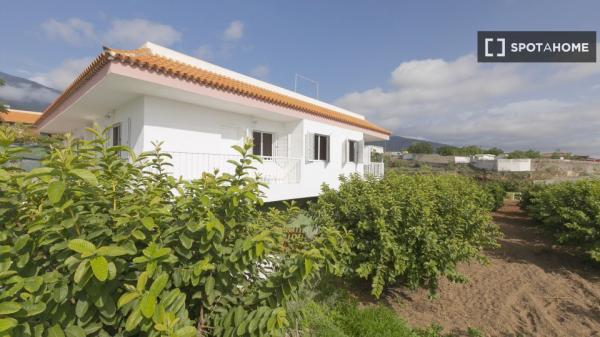 Piso de 3 habitaciones en alquiler en Güímar