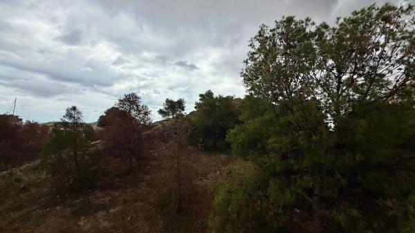 Piso en Barrio Villafranqueza