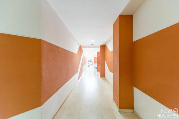 Dúplex en avenida Novelda