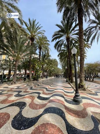 Piso en Barrio Casco Histórico-Santa Cruz