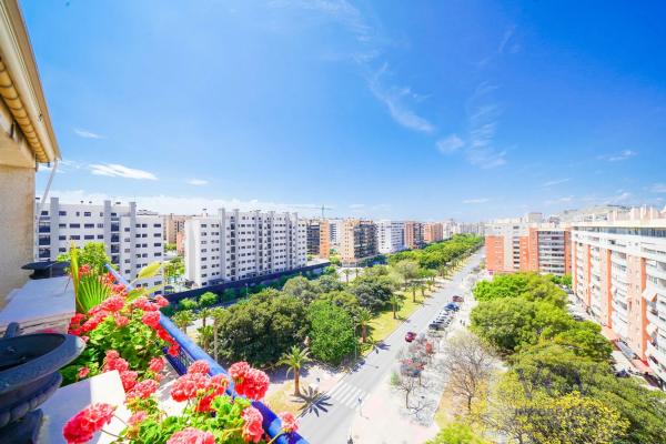 Ático en avenida Historiador Vicente Ramos