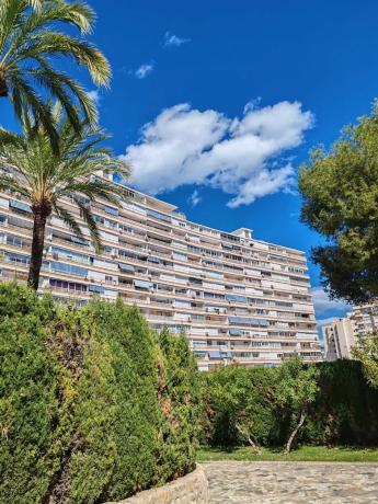 Ático en avenida Benidorm