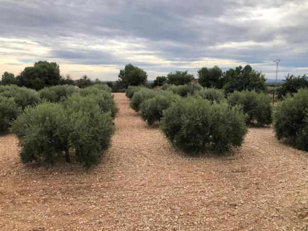 Casa independiente en Partida Cachapets, 38