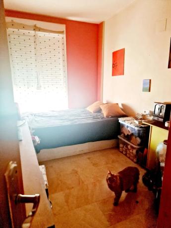 Piso en calle Metge Manuel Vallalta