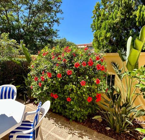 Piso en avenida dels Furs, 17