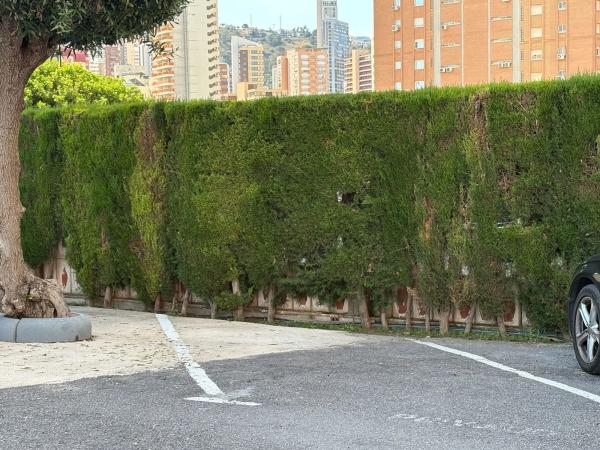 Piso en Pueblo Levante