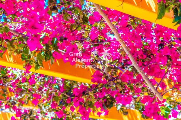 Chalet adosado en avenida D'Escandinàvia, 33