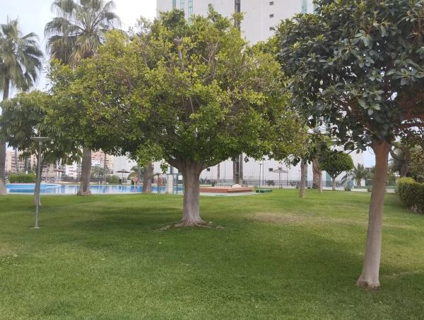 Piso en Barrio Cala Palmera - Atrium