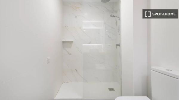 Chambre dans un appartement partagé à louer à Alicante