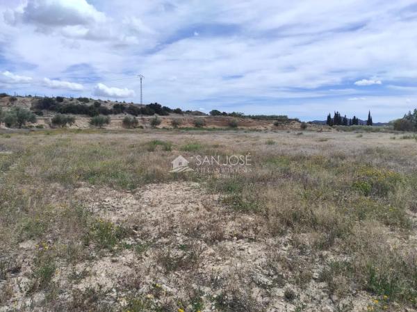 Edificio en Monforte del Cid