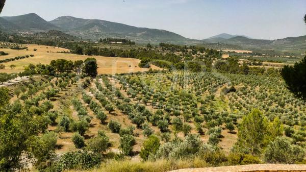 Edificio de uso mixto en alrededores de Benilloba
