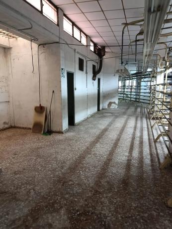 Edificio industrial en calle J.Ramón Jiménez