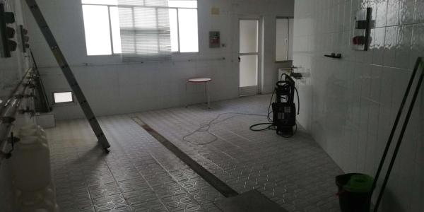 Edificio en avenida Sant Vicente Ferrer