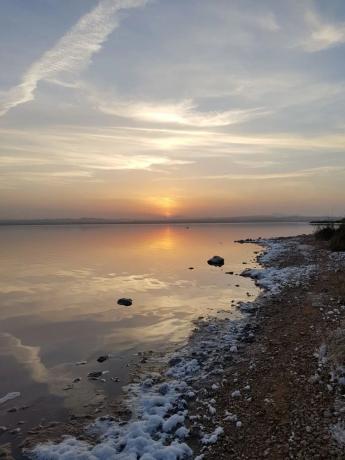 Edificio en Barrio Torreblanca