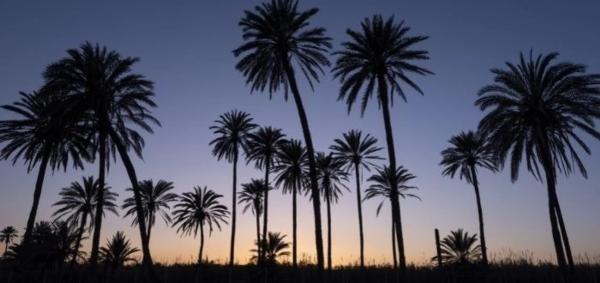 Edificio en Barrio Torreblanca