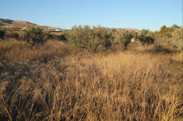 Edificio en La Romana
