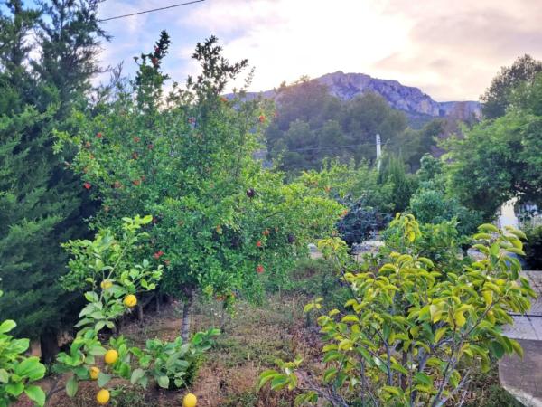 Casa independiente en Partida Estación Ii