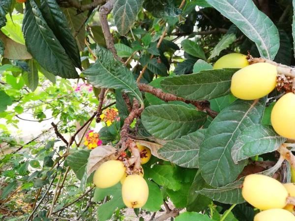 Piso en Altea Pueblo