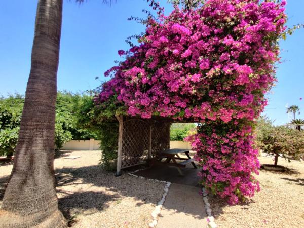 Piso en carretera del Albir