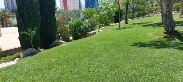 Piso en Pueblo Poniente