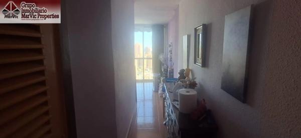 Estudio en Pueblo Levante