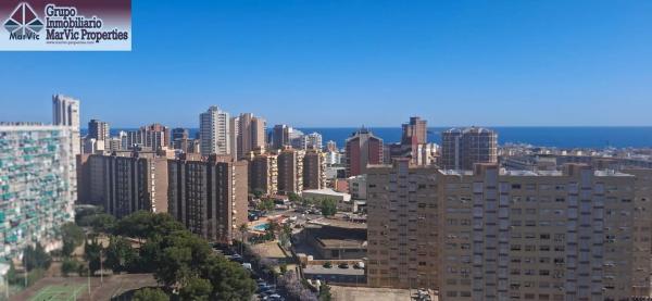 Estudio en Pueblo Levante