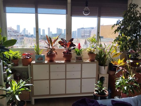 Piso en avenida Beniardá, 16