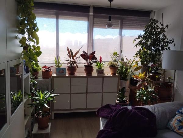 Piso en avenida Beniardá, 16