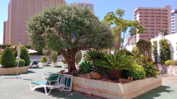 Piso en Pueblo Levante