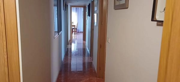 Piso en avenida Rei Jaume i