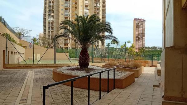 Piso en Pueblo Poniente