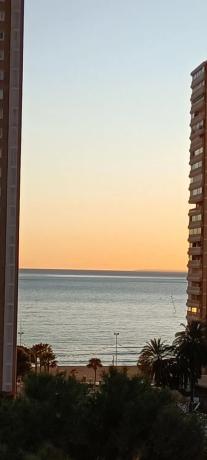 Estudio en Playa de Levante