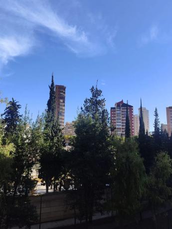 Piso en avenida L'Aigüera