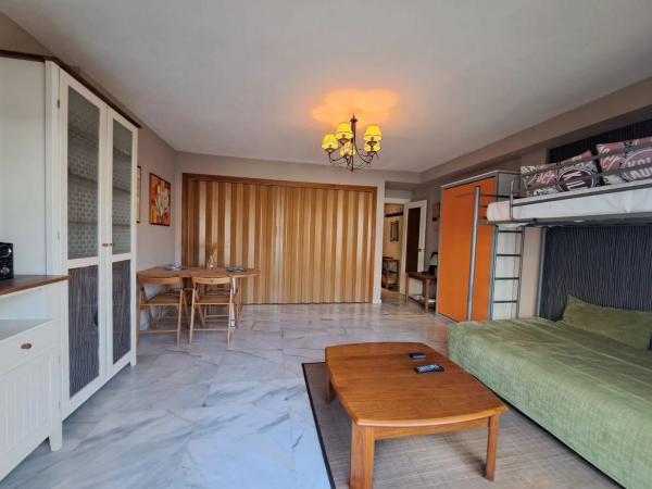 Estudio en Playa de Poniente