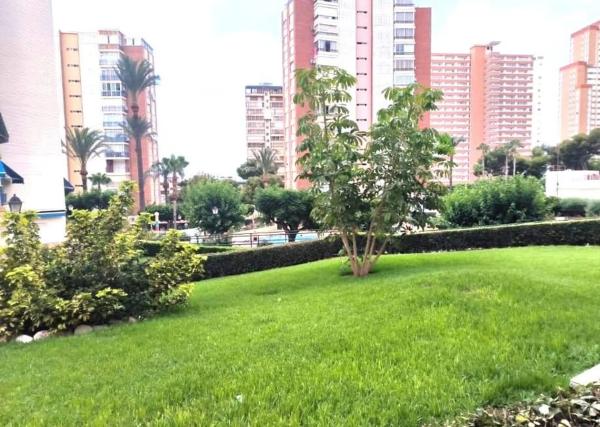 Ático en Playa de Poniente