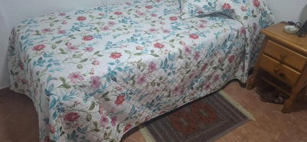 Piso en Pueblo Poniente