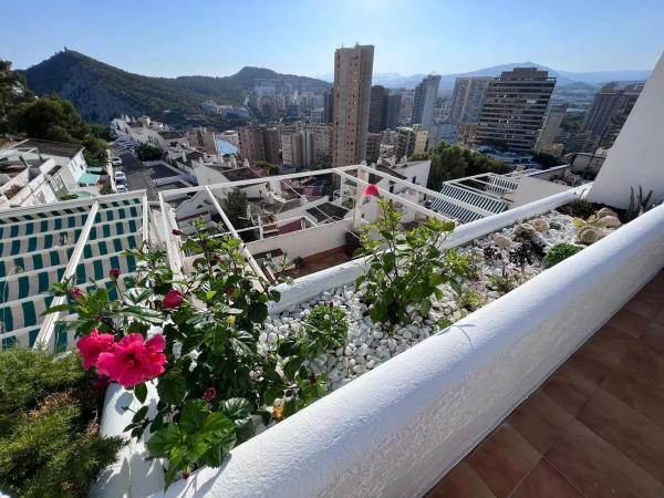 Estudio en Playa de Poniente