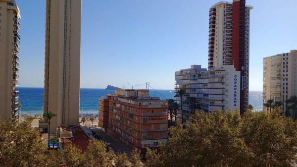 Estudio en Playa de Levante