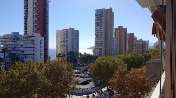 Estudio en Playa de Levante