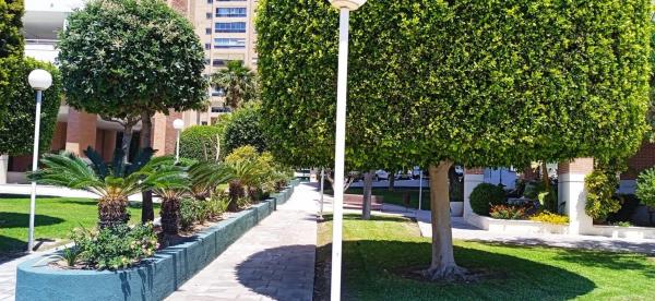 Piso en Pueblo Levante