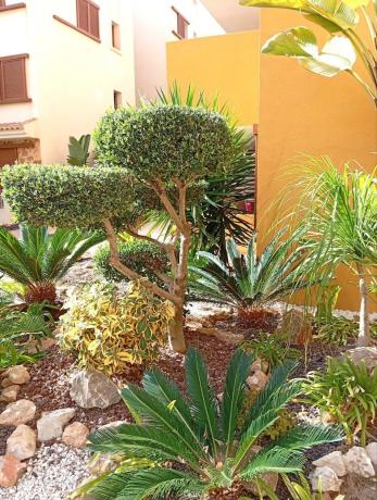 Ático en calle del Tornado, 3