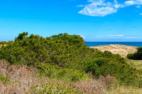 Estudio en avenida Alfredo Nobel