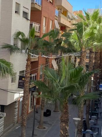 Piso en calle Canónigo Torres