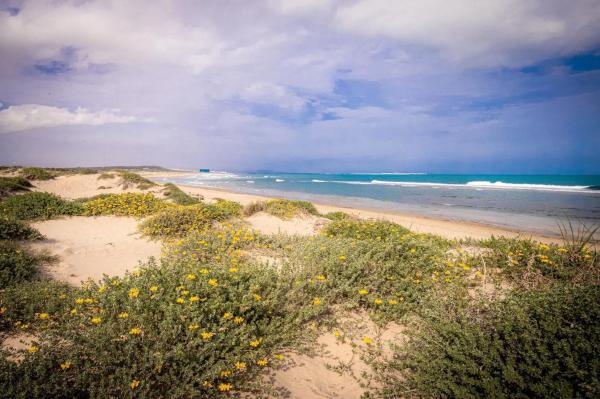 Ático en Barrio Los Europeos