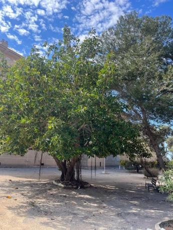 Piso en Barrio Gaspar Perrelló