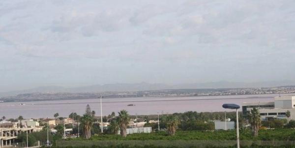 Casa independiente en avenida Tomas Boj Andreu