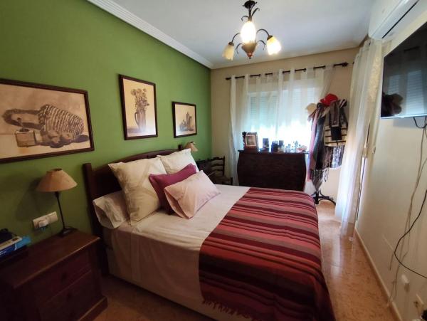 Casa independiente en avenida de las Cortes Valencianas