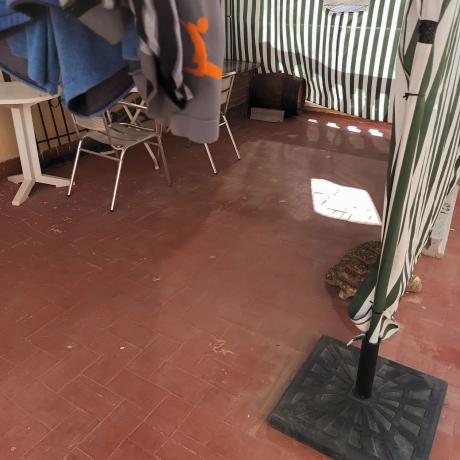 Casa independiente en calle Habaneras, 82