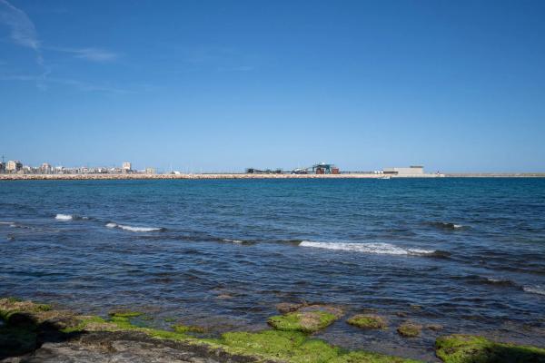 Piso en avenida Desiderio Rodríguez